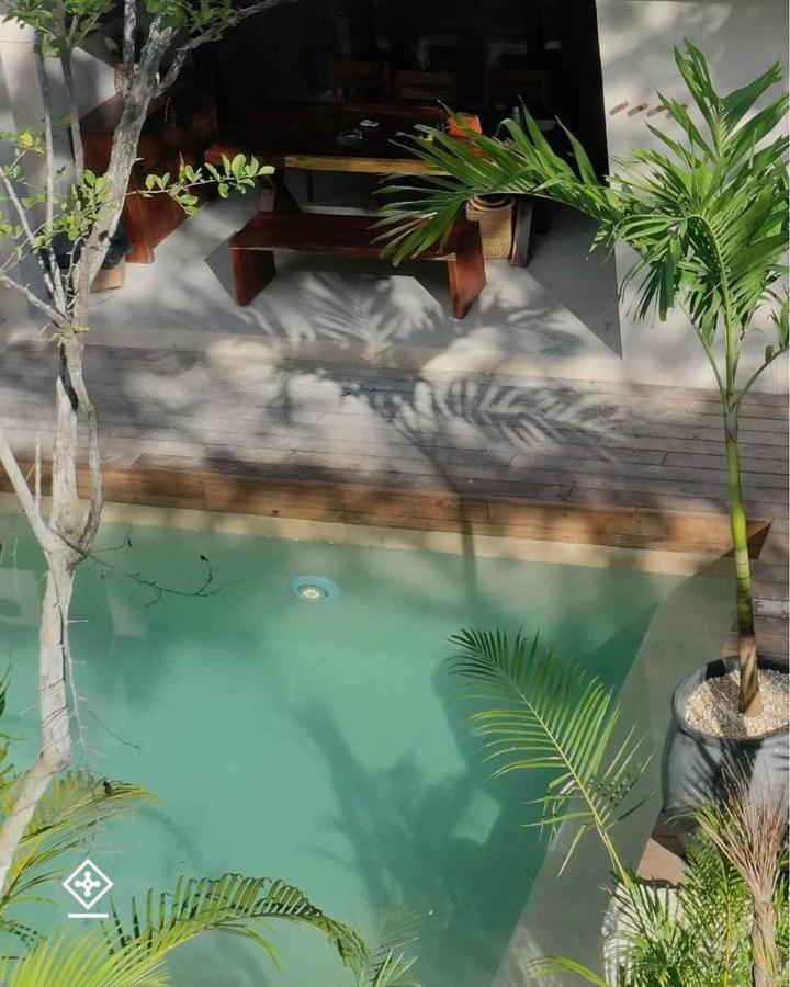 Xuncari En El Corazon De La Selva Tulum